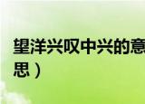望洋兴叹中兴的意思解释（望洋兴叹中兴的意思）