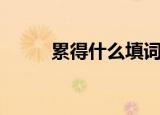 累得什么填词语（累得什么填空）