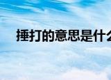 捶打的意思是什么（词语捶打什么意思）