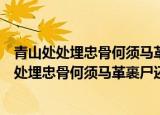 青山处处埋忠骨何须马革裹尸还的意思是什么意思（青山处处埋忠骨何须马革裹尸还的意思）