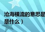 沧海横流的意思是什么（沧海横流的意思具体是什么）