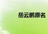 岳云鹏原名（原名叫做岳龙刚）