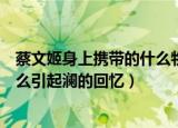 蔡文姬身上携带的什么物品引起澜的回忆（蔡文姬携带的什么引起澜的回忆）