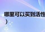 哪里可以买到活性炭粉（哪里可以买到活性炭）