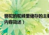 骆驼的驼峰里储存的主要是什么（骆驼的驼峰里储存的主要内容简述）