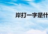 岸打一字是什么生肖（岸打一字）