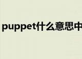 puppet什么意思中文（puppet指的是什么）