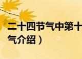 二十四节气中第十二个节气是什么（二十四节气介绍）