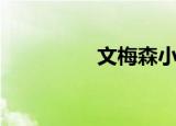 文梅森小时候（文梅森）