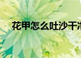 花甲怎么吐沙干净（让花甲吐沙的方法）