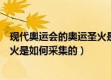 现代奥运会的奥运圣火是怎么采集的（现代奥运会的奥运圣火是如何采集的）