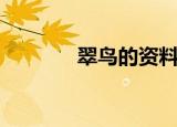 翠鸟的资料（翠鸟有多少种）