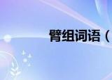 臂组词语（汉字臂怎么组词）