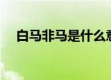 白马非马是什么意思（白马非马的含义）