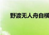 野渡无人舟自横全诗（出自哪首诗呢）