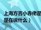 上海方言小赤佬是什么意思（上海方言小赤佬是在说什么）