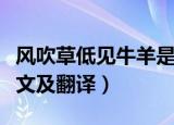风吹草低见牛羊是哪首诗（风吹草低见牛羊原文及翻译）