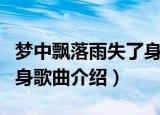 梦中飘落雨失了身是什么歌（梦中飘落雨失了身歌曲介绍）