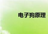 电子狗原理（它是怎么工作的）