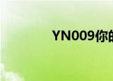 YN009你的名字（yn 009）