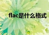 flac是什么格式（flac是什么文件格式）