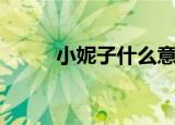 小妮子什么意思（小妮子的含义）