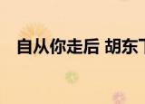 自从你走后 胡东下载（自从你走后 胡东）