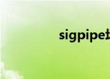 sigpipe场景（sigpipe）
