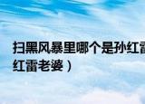扫黑风暴里哪个是孙红雷老婆（扫黑风暴里饰演郑毅红是孙红雷老婆）