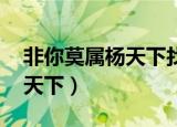 非你莫属杨天下找到工作了吗（非你莫属 杨天下）