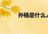 孙杨是什么人（孙杨是哪里人）