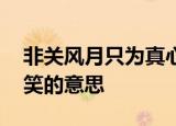 非关风月只为真心,投桃何须报李只为倾城一笑的意思