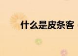 什么是皮条客（皮条客是什么意思）