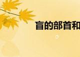 盲的部首和笔画（盲的部首）