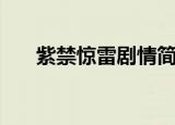 紫禁惊雷剧情简介（紫禁惊雷主题曲）