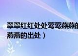 翠翠红红处处莺莺燕燕的下一句是什么（翠翠红红处处莺莺燕燕的出处）