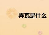 弄瓦是什么（弄瓦是什么意思）