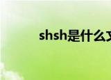 shsh是什么文件（shsh是什么）