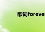 歌词forever forever forever