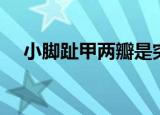 小脚趾甲两瓣是突厥人（小脚趾甲两瓣）
