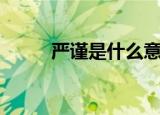 严谨是什么意思（严谨是啥意思）