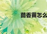 茴香苗怎么吃（你吃对了吗）