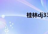 桂林dj33（桂林dj330）