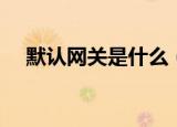 默认网关是什么（默认网关具体是什么）