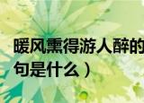 暖风熏得游人醉的下一句（暖风熏得游人醉下句是什么）