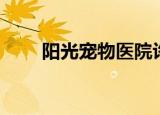 阳光宠物医院许昌（阳光宠物医院）