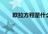 欧拉方程是什么（欧拉方程的理解）