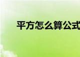 平方怎么算公式是什么（什么是平方）