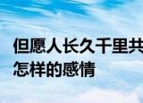 但愿人长久千里共婵娟是什么意思表达了作者怎样的感情