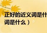 正好的近义词是什么词语是什么（正好的近义词是什么）